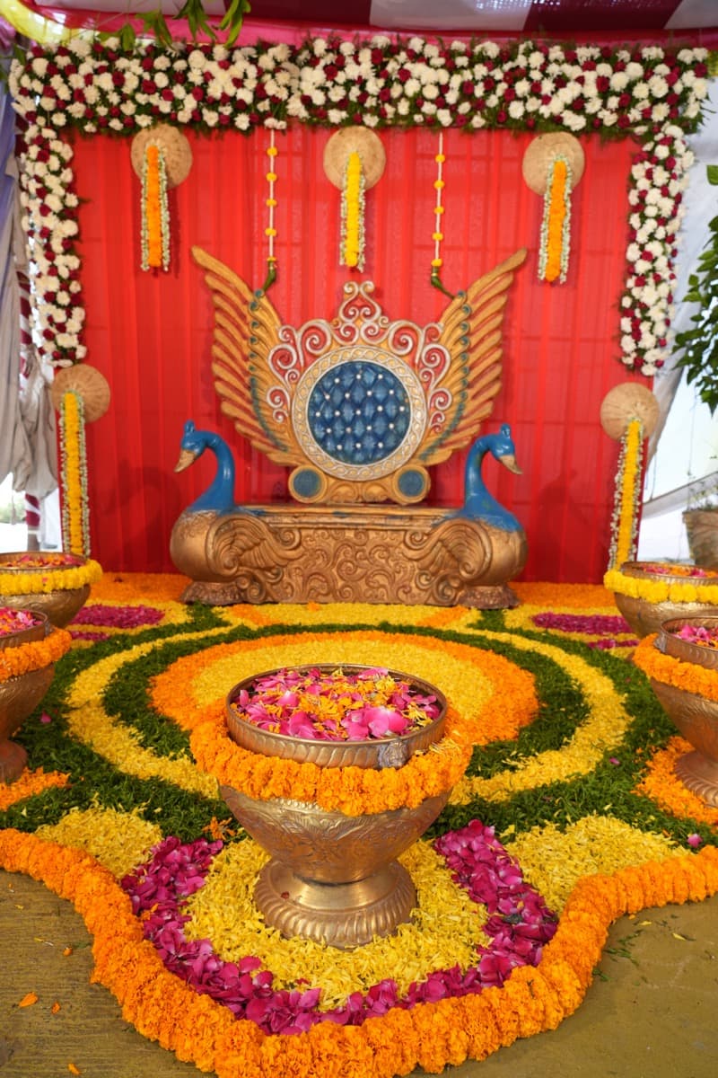 Fashion & Portfolio Shoots